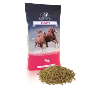 Tovární Cena Energys Baby pro hříbata 25 kg