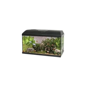 Akvárium set PACIFIC 60 x 30 x 30 cm, 54 litrů, s LED osvětlením a biofiltrem Top Prodej
