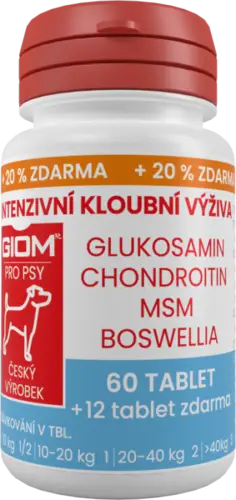 Must-Have Giom ERA pes intenzivní kloubní výživa 60+20% ZDARMA