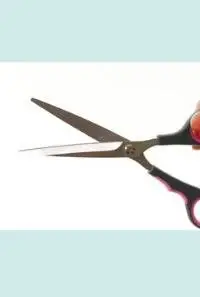 Aktuální Nůžky na srst Buster 17,5 cm