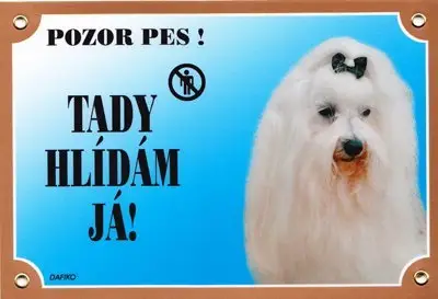 Finální Výprodej Barevná cedulka Pozor pes Maltézský pinč
