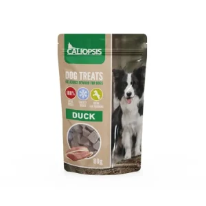 Akční Nabídka CALIOPSIS FREEZE DRIED DUCK 80 g