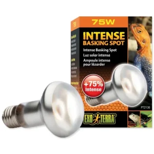 Žárovka Exo Terra Intense Basking Spot 75W Hit Sezóny