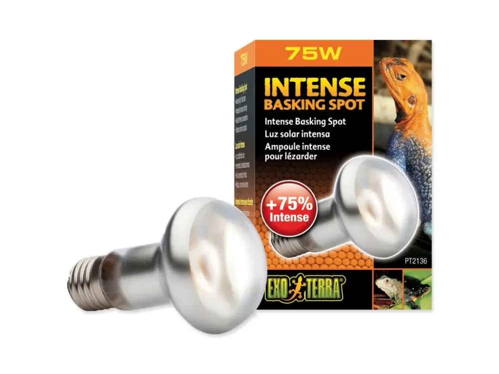 Žárovka Exo Terra Intense Basking Spot 75W Hit Sezóny