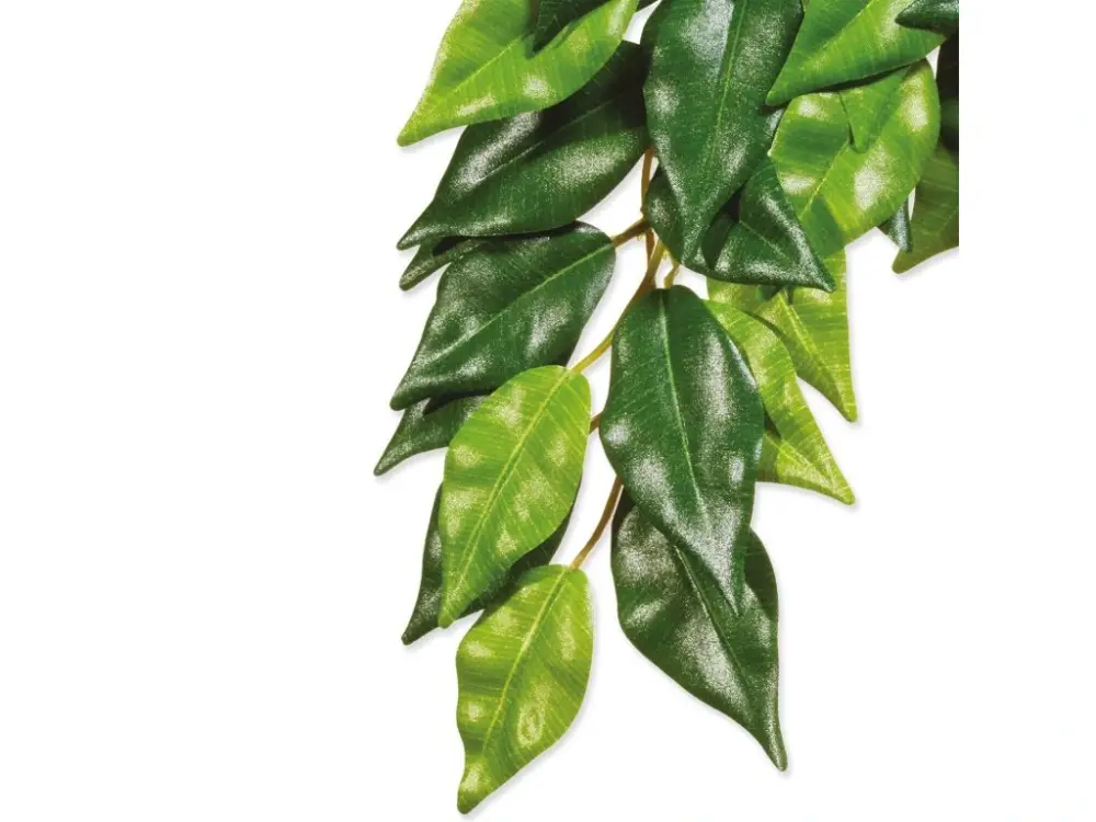 Ověřený Dekorace Exo Terra Rostlina textil Ficus malá