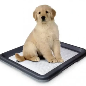 Nobby Doggy Trainer L plastové WC na podložky pro štěňata 62,5 x 48 x 3,8 cm Tovární Cena