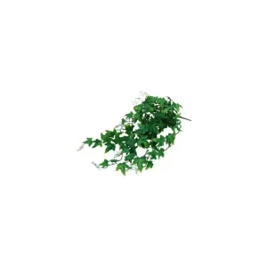 Cenová Bomba Lucky Reptile Jungle Plants Ivy Bush cca 50 cm