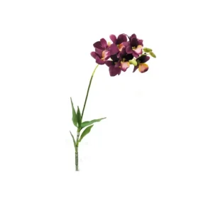 Bezpečná Platba Lucky Reptile Jungle Plants kvetoucí Orchidej Lila, cca 40 cm bez základny