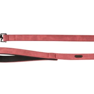 Autentický Flamingo Delu Vodítko s neoprenovým polstrováním Červená 100x1,5cm