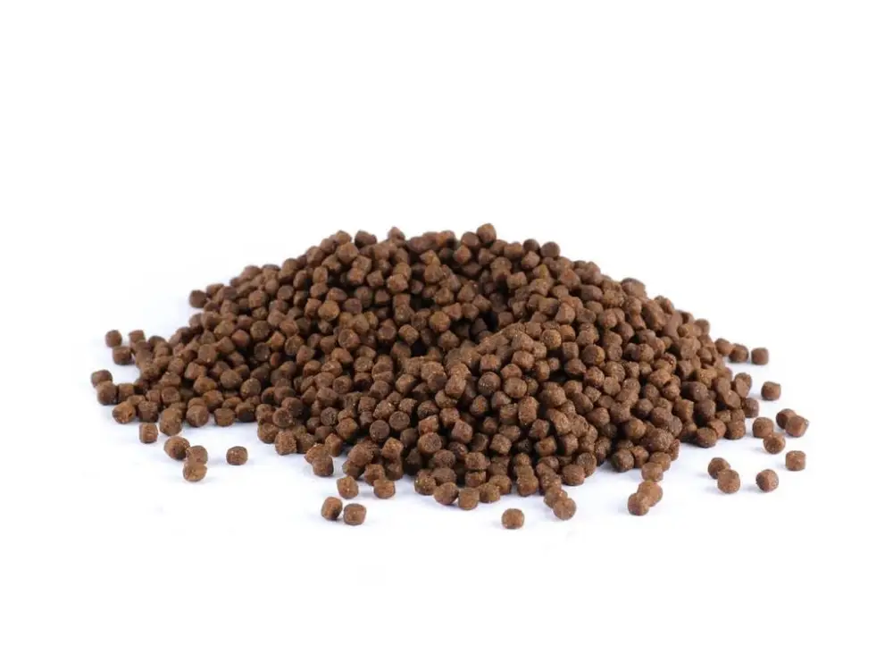 BARDOG Cat Kitten Cat 34/22 koťata a březí kočky 1 kg Odeslání Ihned