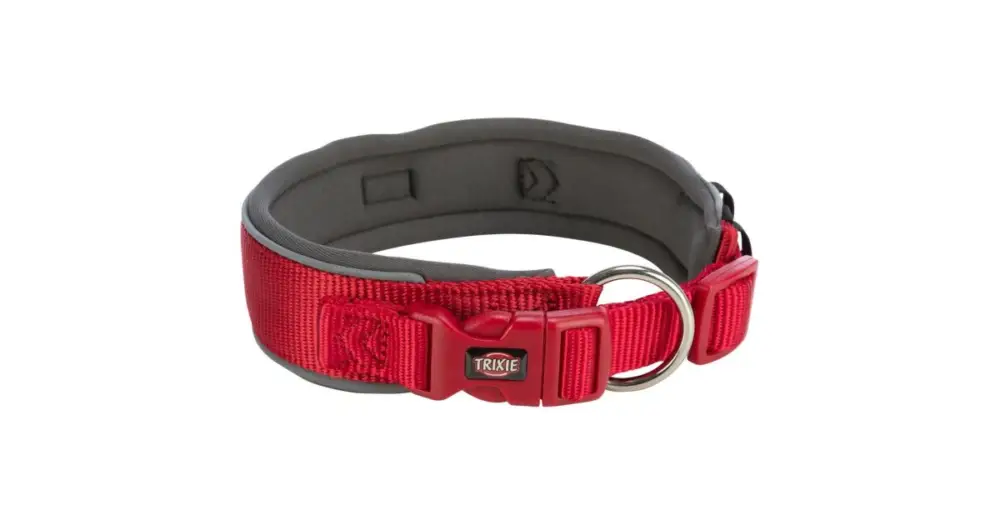 PREMIUM obojek extra široký, červená/grafit L-XL: 53-62 cm/50 mm Ověřený