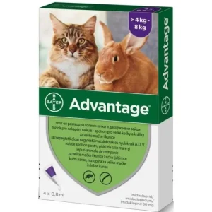 Advantage 80mg spot-on kočka, králík 4-8kg 4x0,8ml Výhodná Nabídka