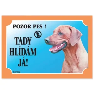 Must-Have Tabulka Tady hlídám! Rhodéský ridgeback 1ks