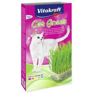 Aktuální Vitakraft Cat Gras 120 g