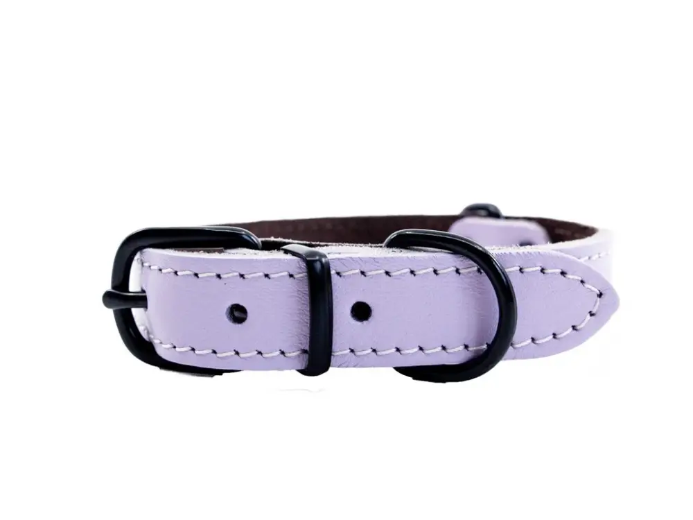 BAFPET Kožený obojek HERRY MINI 50cm 25mm Fialová Nejlepší Cena