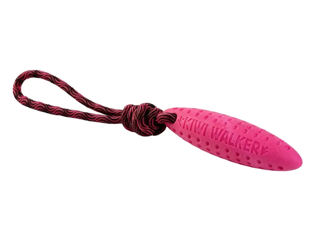 Hračka pes ZEPPELIN MINI plov. z TPR růžová Kiwi Zlevněný
