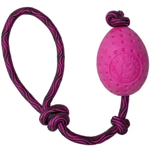 Hračka pes EGG MAXI plov. z TPR růžová Kiwi Pouze Dnes