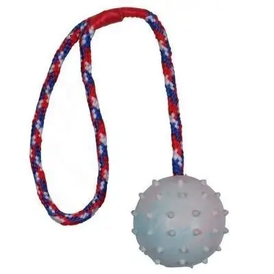 Oblíbený Trixie Hračka pes Míč hrbolatý na šňůrce 6cm/30cm