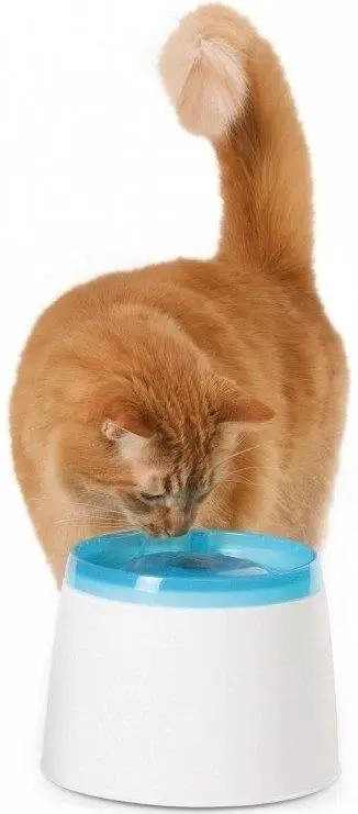 Koupit Online Hagen Catit fontána Fresh & Clean 2 l