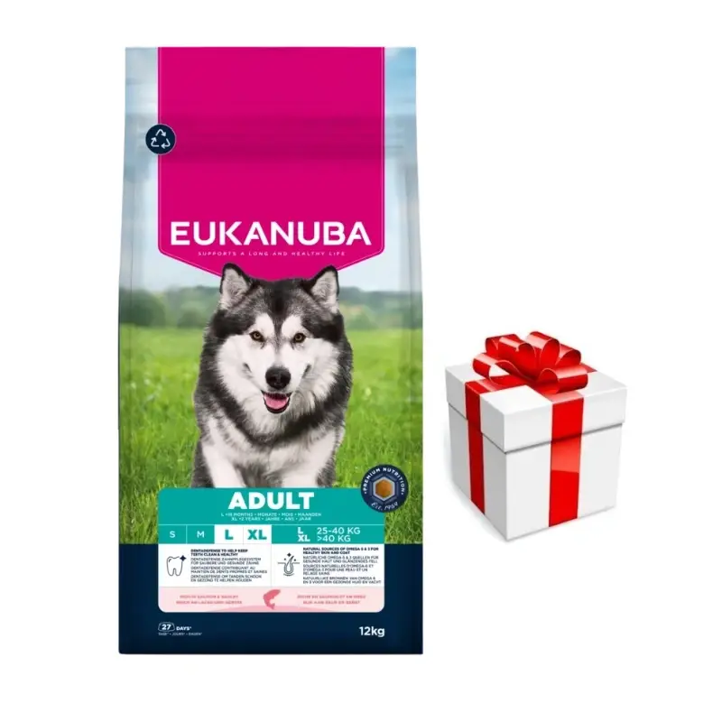Eukanuba Adult Large Salmon&Barley 12kg + Překvapení pro psa Tovární Cena