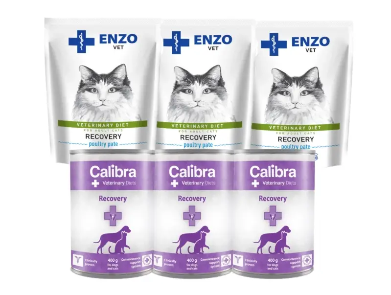 Časově Omezené Calibra VD Dog Cat Recovery 6x400g + ENZO VET Recovery pro kočky 6x100g