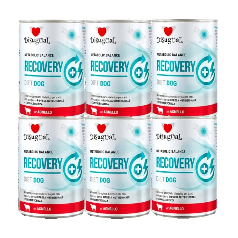 Ověřený Disugual mokré krmivo pro psy Veterinární RECOVERY Jehněčí (dospělí) 6x400g