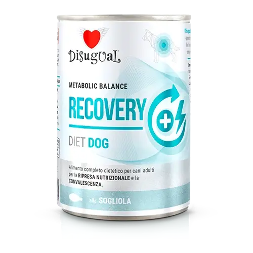 Disugual Karma – vlhké krmivo pro psy, veterinární RECOVERY Sola (dospělí) 400g Nejprodávanější