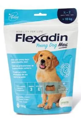 Flexadin 4Life Young Dog Maxi žvýkací 60tbl Výhodná Nabídka
