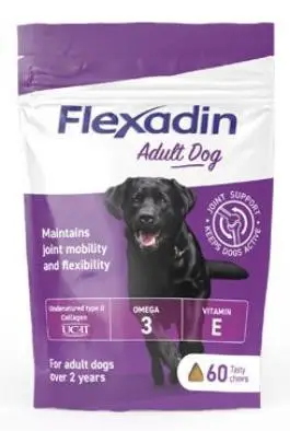 Jen Po Omezenou Doba Flexadin 4Life Adult Dog žvýkací 60tbl