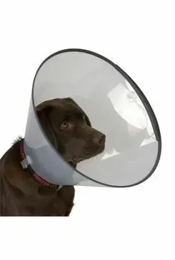 Ihned K Objednání Límec ochranný BUSTER plastový Comfort Collar 30cm