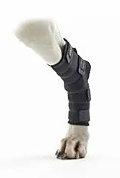 Bandáž Rehab na hlezno pro psa KRUUSE XL Aktuální