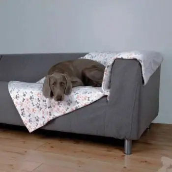 Omezená Nabídka Deka pro psy LINGO kosti,tlapky 100x75cm bílá/béžováTR
