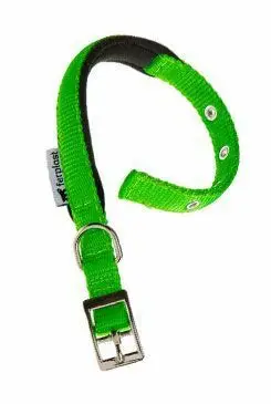 Obojek nylon DAYTONA C 35cmx15mm zelený FP 1ks Nejlepší Volba