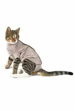 Obleček Body Suit Step‘n Go Cats 2XS béžový BUSTER Akční Nabídka