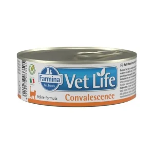 Hit Sezóny Vet Life Natural Feline konz. Convalescence 85 g